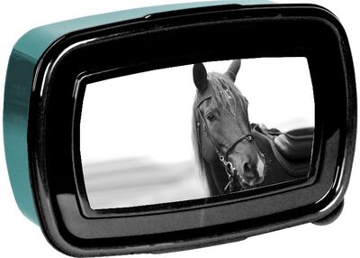 Pietų dėžutė PASO HORSES BLACK