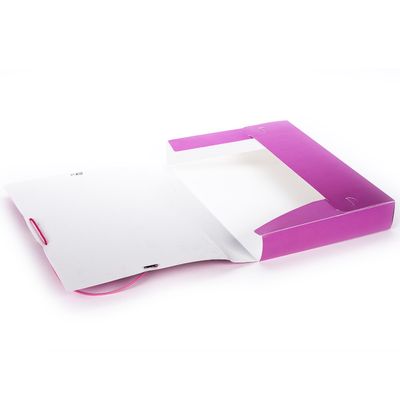 Dėklas sąsiuviniams TCD STICKER MANIA PP, A4, 4 cm, Pink