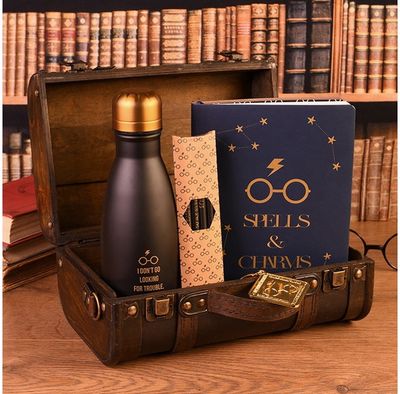 Rinkinys: HARRY POTTER PREMIUM skrynelė