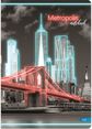 Kontorinė knyga HARD METROPOLIS, A5, 70 g, 96 l., langeliais