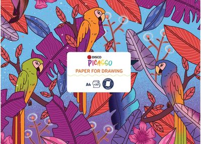 Piešimo albumas DISCO PICASO, A4, 120 g, 20 l.