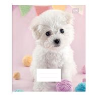 Sąsiuvinis INT I LOVE PETS, A5, 70 g, 12 l., langeliais