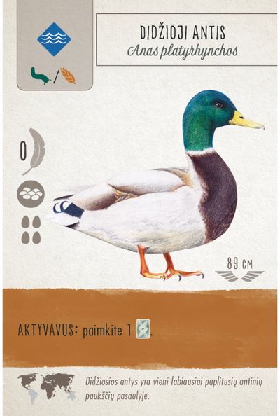 Stalo žaidimas SPARNUOTIEJI (WINGSPAN)
