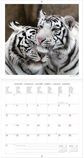 Kalendorius LEGAMI 30X29 MOMENTS OF LOVE