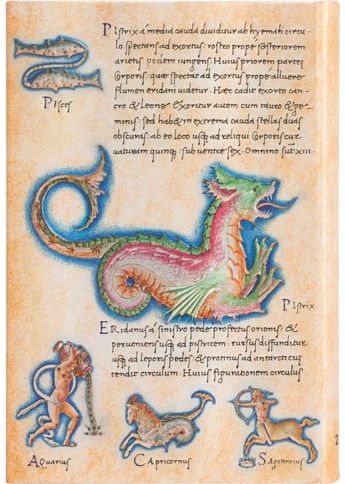 Darbo knyga PB 2022 Astronomica Mini DAY