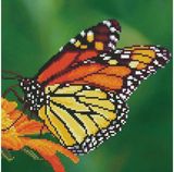 Deimantinė mozaika DD MONARCH 30,48x30,48