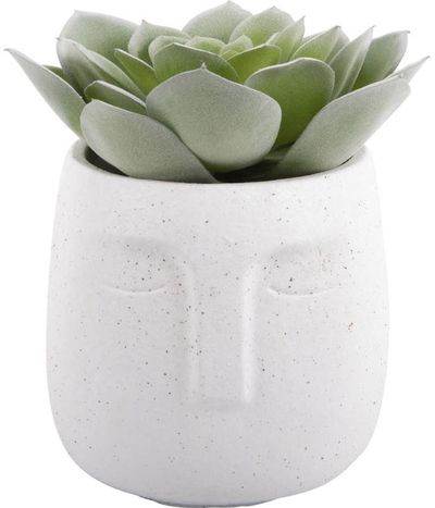 Vazonas gėlėms FACE WHITE, 12,5 x Ø 14 cm