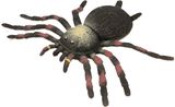 Žaislas Stretchy Beanie TARANTULA
