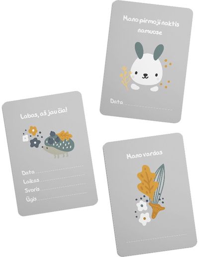 Kūdikio pasiekimų kortelės pilkos