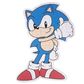 Dėlionė SONIC THE HEDGEHOG FIGURE 250 det.