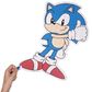 Dėlionė SONIC THE HEDGEHOG FIGURE 250 det.