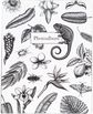 Nuotraukų albumas TROPICAL BW, kišeninis, 13x20/96