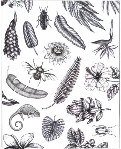 Nuotraukų albumas TROPICAL BW, kišeninis, 13x20/96