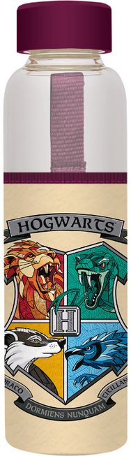Stiklinė gertuvė HARRY POTTER, 500 ml