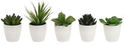 Dirbtinis sukulentas PLANT IN POT, 15 cm