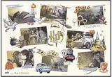 Stalo patiesalas HARRY POTTER GALSSES, 50x35 cm