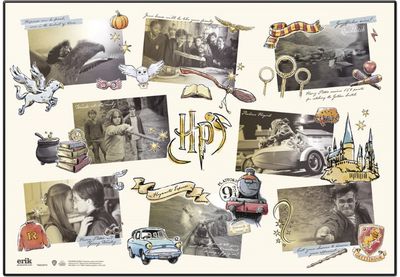 Stalo patiesalas HARRY POTTER GALSSES, 50x35 cm