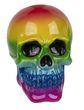 Taupyklė RAINBOW SKULL, 13 cm