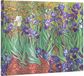 Svečių knyga VAN GOGH’S IRISES, 144 psl.