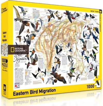 Dėlionė NYPC Eastern Bird Migration / paukščių migracija 1000 det.