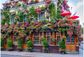 Medinė dėlionė WOODEN CITY London Pub 150 det.