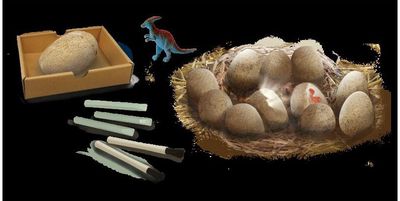 Rinkinys tyrinėjimui BUKI Iškask dinozaurų kiaušinius