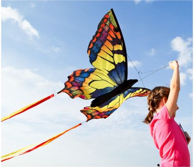 Aitvaras DRUGELIS swallowtail