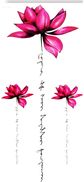 Laikinųjų tatuiruočių rinkinys TATTOOSHKA Colorful lotuses