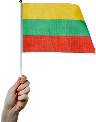 Lietuvos vėliavėlė 22,5 x 15 cm, pagaminta iš sintetinio audinio su plastikiniu koteliu