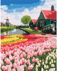 Tapyba pagal skaičius: OLANDIJOS PROVINCIJA