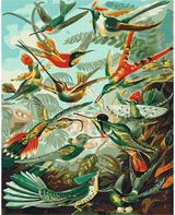 Tapyba pagal skaičius PLUNKSNUOTA KARAL