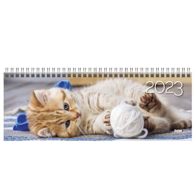 Kalendorius stalinis MEMO CARD 2023 cat
