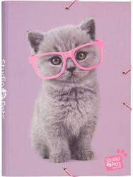 Dėklas sąsiuviniams STUDIO PETS CATS, A4
