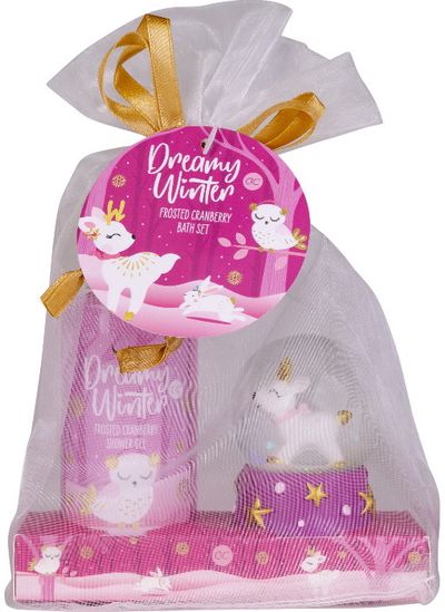 Dovanų rinkinys DREAMY WINTER (dušo želė+vandens gaublys), 100 ml