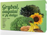 Lavinamųjų kortelių rinkinys GRYBAI, AUGALAI IR JŲ DALYS