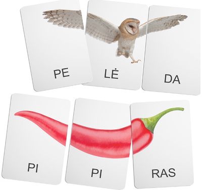 Lavinamųjų kortelių rinkinys SUDĖK ŽODĮ. TRISKIEMENIAI ŽODŽIAI