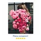 Tapyba pagal numerius ORNER A girl with the flowers 40х50