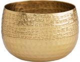 Vazonas FANNIK HALIKKO GOLD, 16 cm