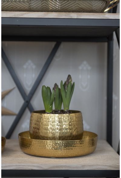 Vazonas FANNIK HALIKKO GOLD, 16 cm