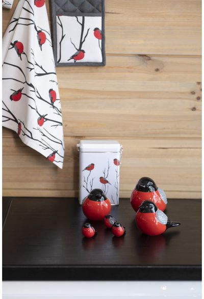 Virtuvės rankšluostis WINTERIA BIRD, 50x70 cm, 2 vnt.