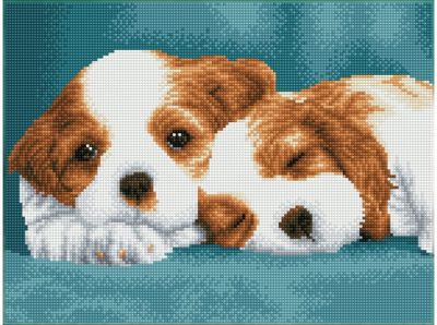 Deimantinė mozaika LITTLE CHAMPS 31x41