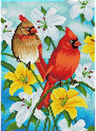 Deimantinė mozaika CARDINAL FAMILY 35x25