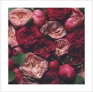 Atvirukas ŽIEDŲ ŠOKIS su voku, 15,5x15,5 cm