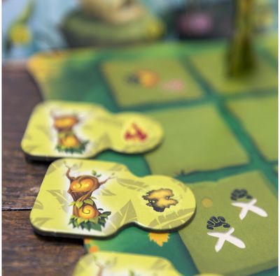 Stalo žaidimas LIVING FOREST