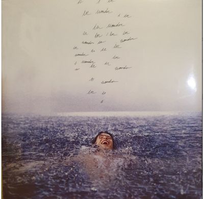 Vinilinė plokštelė Shawn Mendes: Wonder (Limited Edition) (Transparent Vinyl) L P