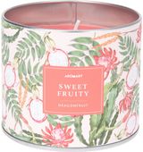 Žvakė LEMON/APPLE/ORANGE/DRAGONFRUIT, įv.rūšys, 8,5 cm