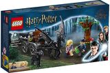 LEGO Harry Potter TM Hogvartso™ karieta su testraliais 76400
