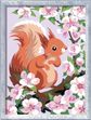 Tapyba pagal numerius RAVENSBURGER Spring Squirrel 24x18 cm.