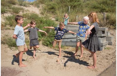 Aktyvios veiklos žaidimas BS TOYS Birds in Action