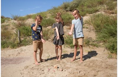 Aktyvios veiklos žaidimas BS TOYS Birds in Action